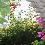 Otel Urga Butik & Restaurant Güllük