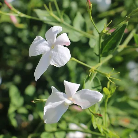 Urga Butik & Restaurant Gulluk