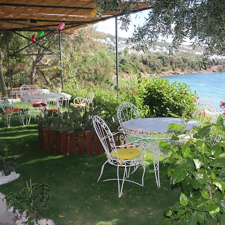Ξενοδοχείο Urga Butik & Restaurant *